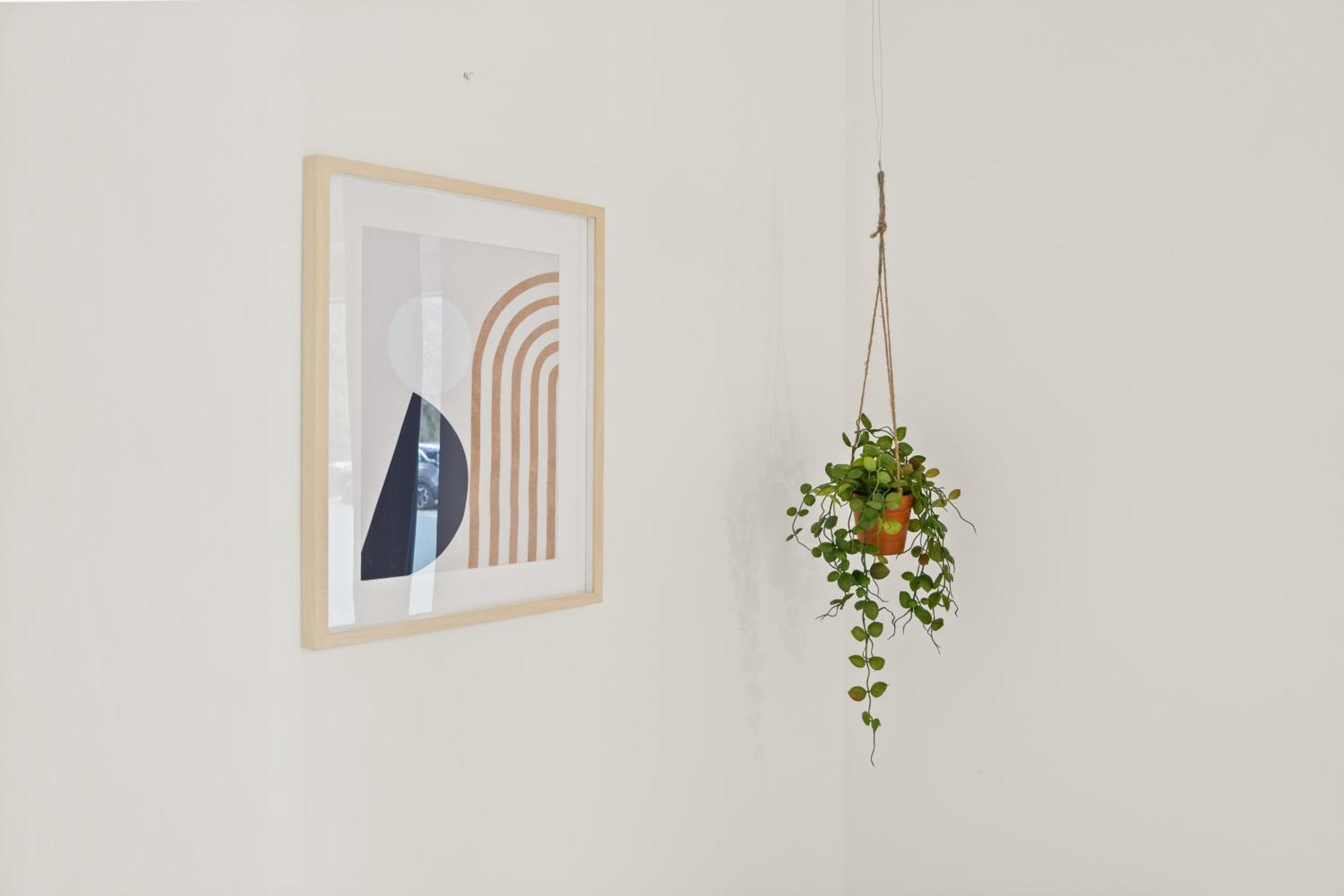 Greenhouse Living Apartment Aurinia - Wandern - Mountainbike Fahren - 4 Minuten Nach Winterberg - 4 Minuten Zur Ruhrquelle - Natur Geniessen - Reisen Mit Hund メーデバッハ エクステリア 写真