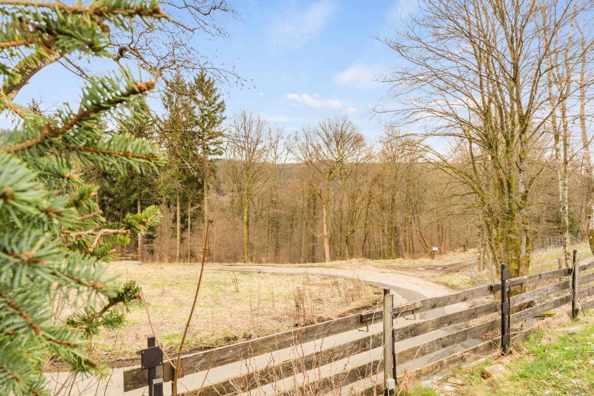 Greenhouse Living Apartment Aurinia - Wandern - Mountainbike Fahren - 4 Minuten Nach Winterberg - 4 Minuten Zur Ruhrquelle - Natur Geniessen - Reisen Mit Hund メーデバッハ エクステリア 写真